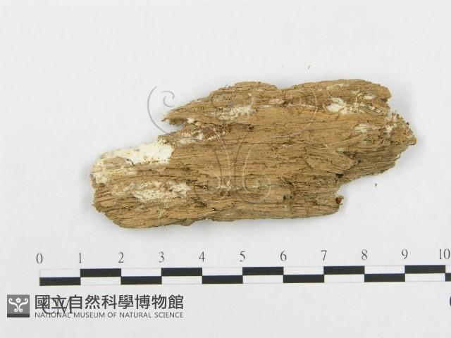 登錄號:F0014083藏品圖，第3張