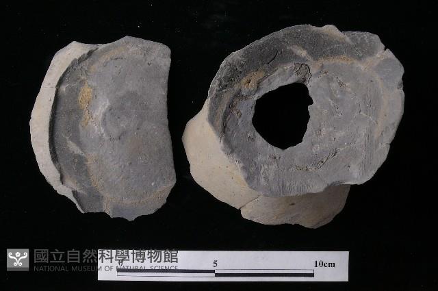 陶片藏品圖，第1張