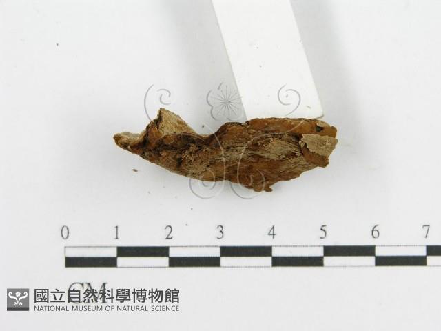 登錄號:F0017698藏品圖，第7張