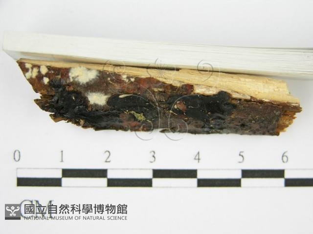 登錄號:F0002728藏品圖，第6張