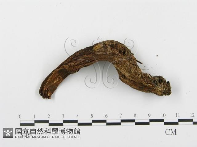 登錄號:F0002308藏品圖，第6張