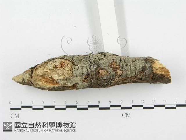 登錄號:F0001358藏品圖，第6張
