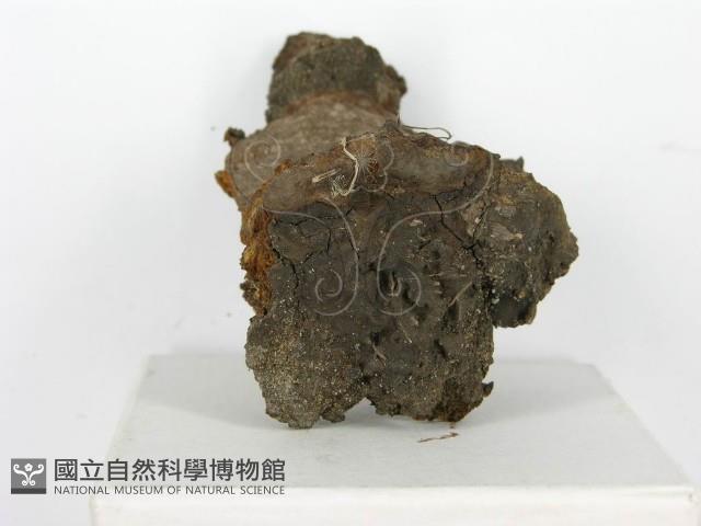 登錄號:F0010610藏品圖，第6張