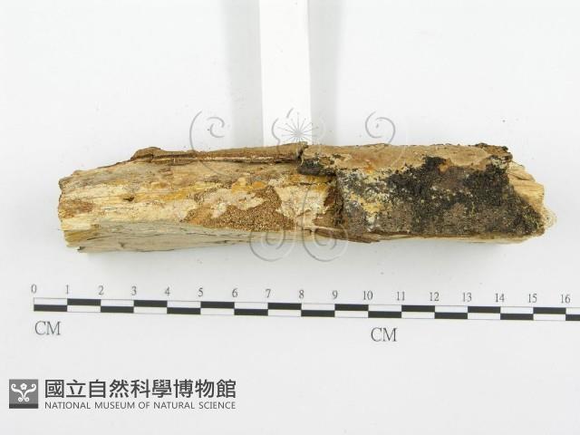 登錄號:F0002410藏品圖，第6張