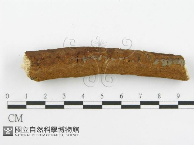 登錄號:F0017230藏品圖，第7張