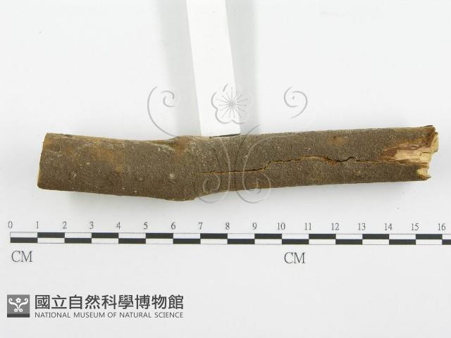 登錄號:F0001546藏品圖，第6張