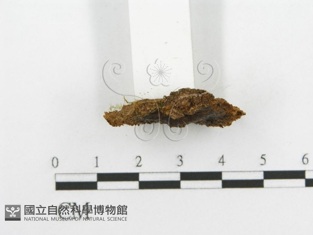 登錄號:F0002961藏品圖，第6張
