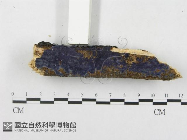 登錄號:F0018721藏品圖，第6張