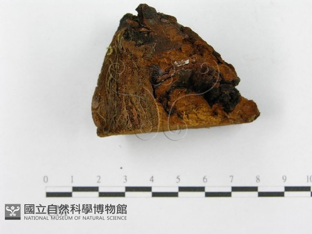登錄號:F0014152藏品圖，第6張