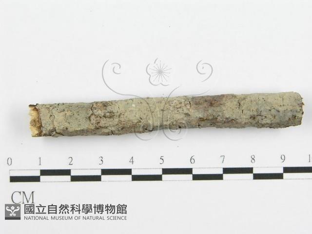 登錄號:F0010017藏品圖，第6張