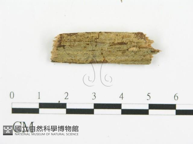 登錄號:F0015755藏品圖，第6張