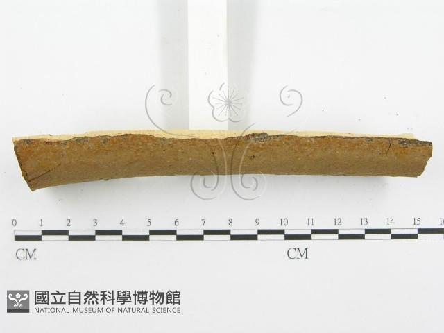 登錄號:F0002763藏品圖，第6張
