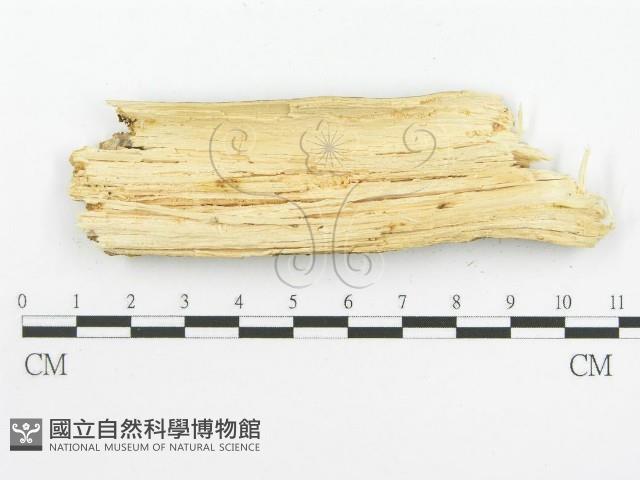 登錄號:F0001563藏品圖，第6張