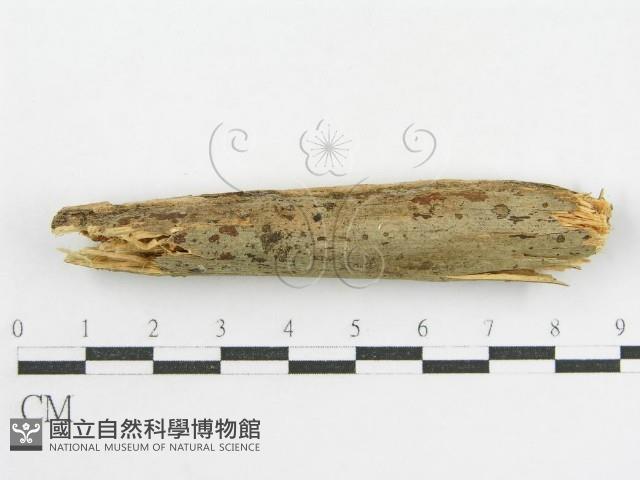 登錄號:F0001023藏品圖，第6張