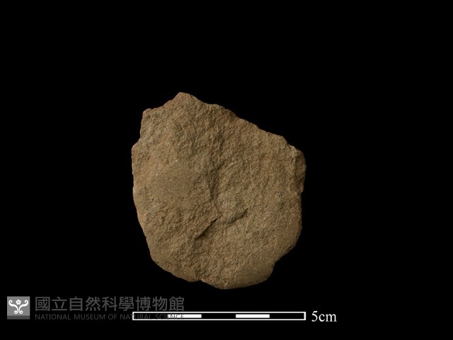 斧鋤形器藏品圖，第1張