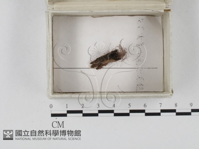 登錄號:F0023268藏品圖，第1張