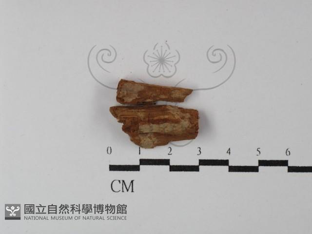 登錄號:F0029868藏品圖，第1張