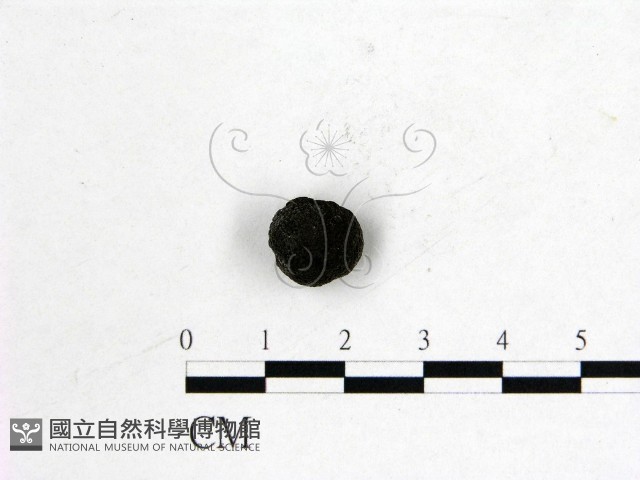 登錄號:F0009868藏品圖，第1張