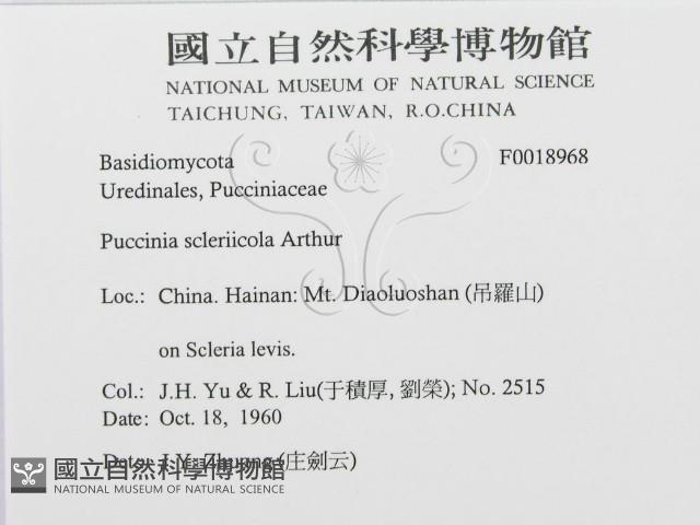 登錄號:F0018968藏品圖，第3張