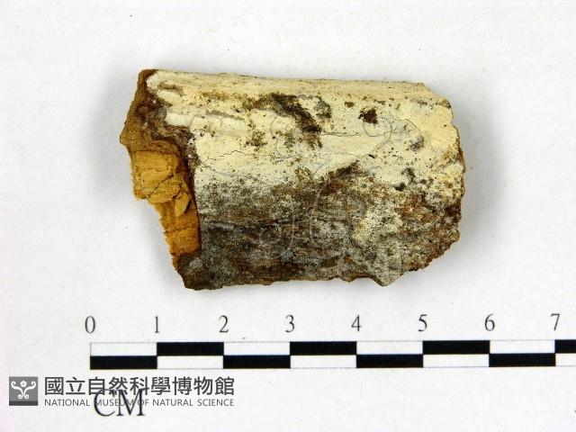 登錄號:F0000968藏品圖，第1張