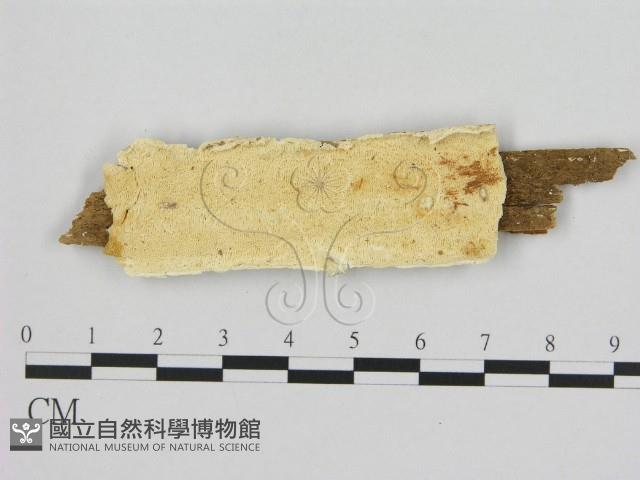 登錄號:F0006968藏品圖，第1張