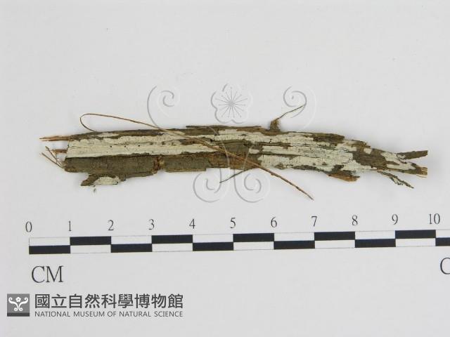 登錄號:F0001968藏品圖，第1張