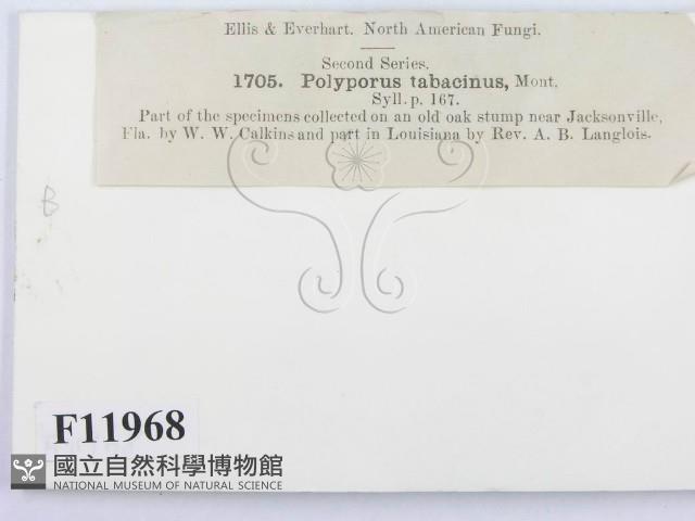 登錄號:F0011968藏品圖，第3張