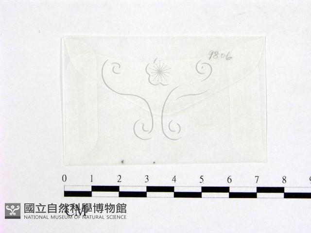 登錄號:F0007968藏品圖，第1張