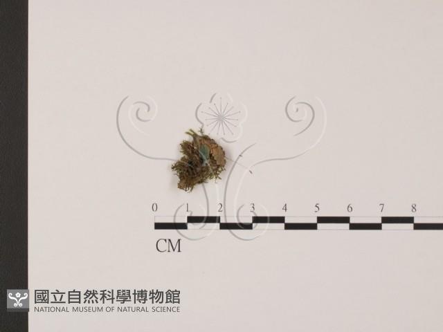 登錄號:F0017968藏品圖，第1張