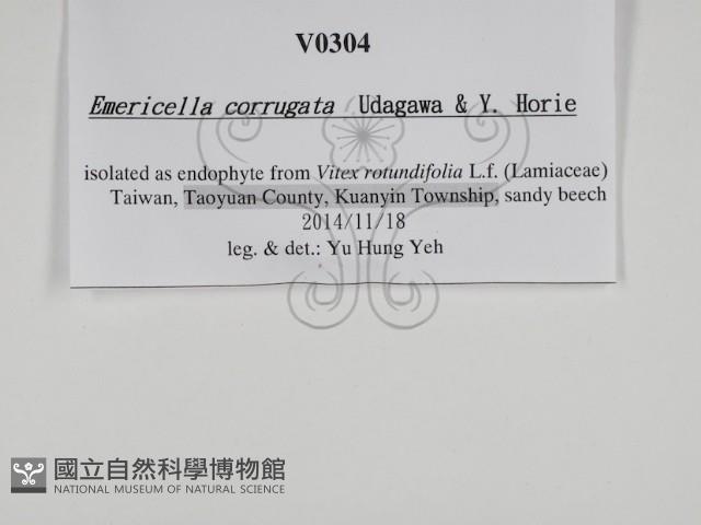 登錄號:F0029968藏品圖，第3張