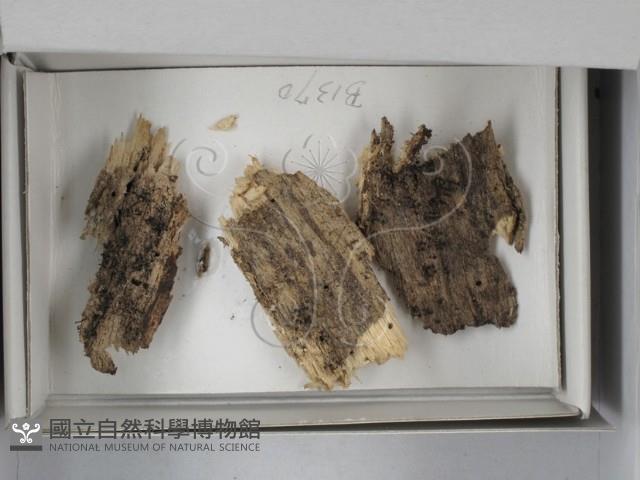 登錄號:F0018668藏品圖，第1張