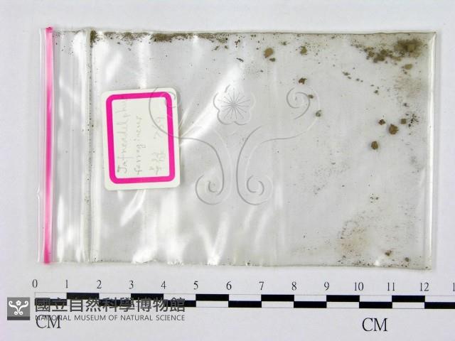 登錄號:F0000668藏品圖，第1張