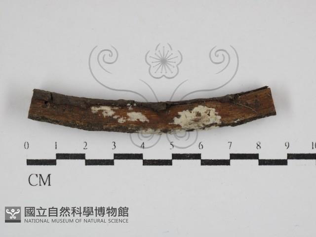 登錄號:F0030668藏品圖，第1張