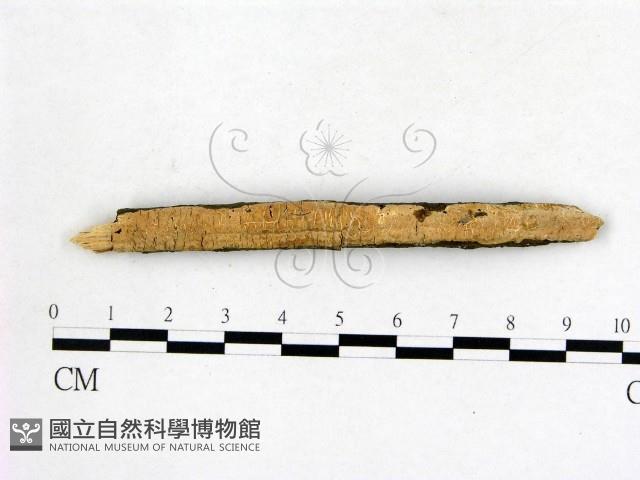 登錄號:F0014668藏品圖，第1張