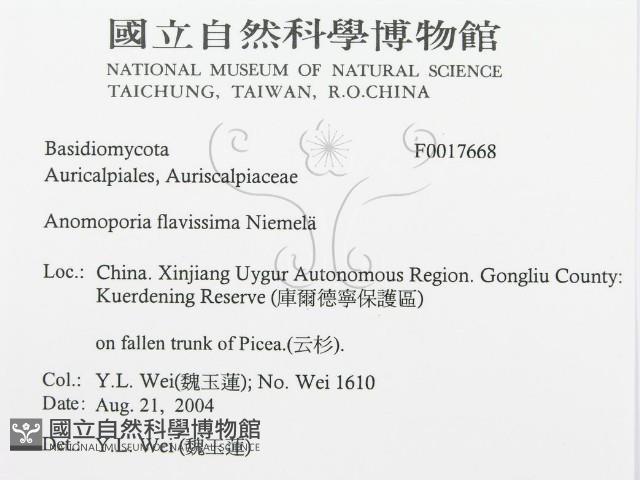 登錄號:F0017668藏品圖，第3張