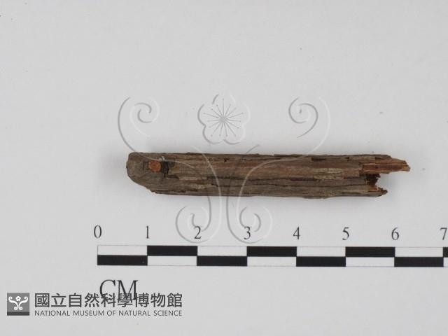 登錄號:F0019668藏品圖，第1張