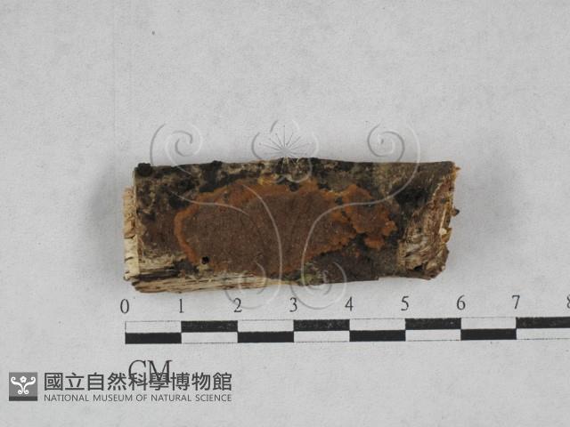 登錄號:F0028468藏品圖，第1張