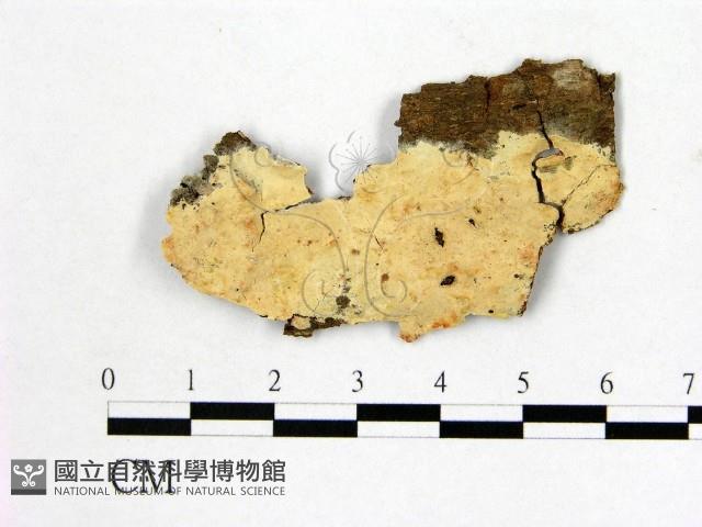 登錄號:F0020468藏品圖，第1張
