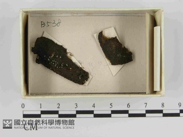 登錄號:F0021468藏品圖，第1張