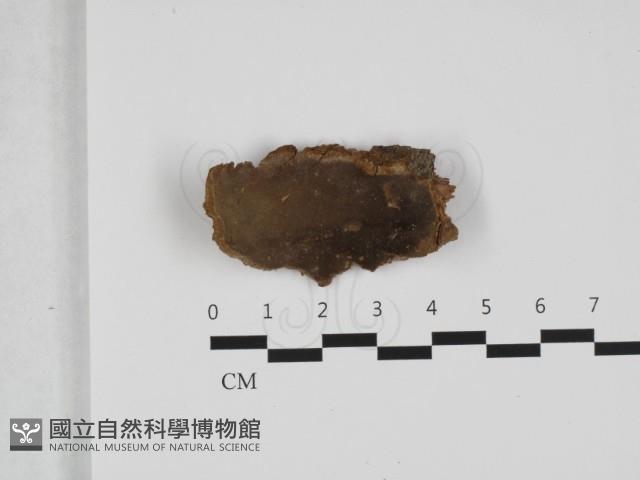 登錄號:F0032468藏品圖，第1張