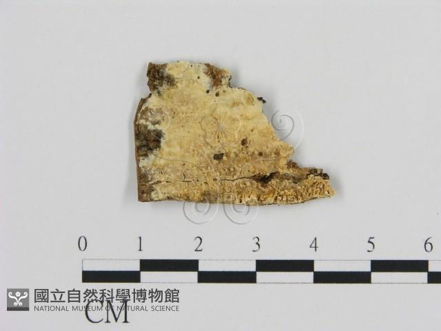 登錄號:F0009468藏品圖，第1張