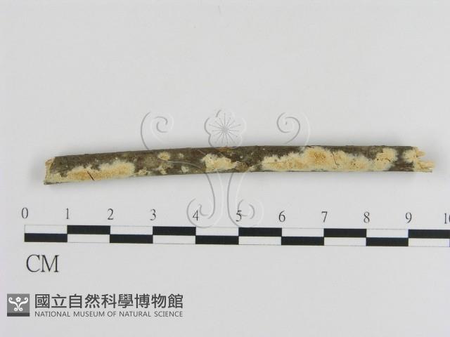 登錄號:F0013468藏品圖，第1張
