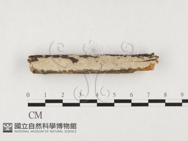 登錄號:F0026768藏品圖，第1張