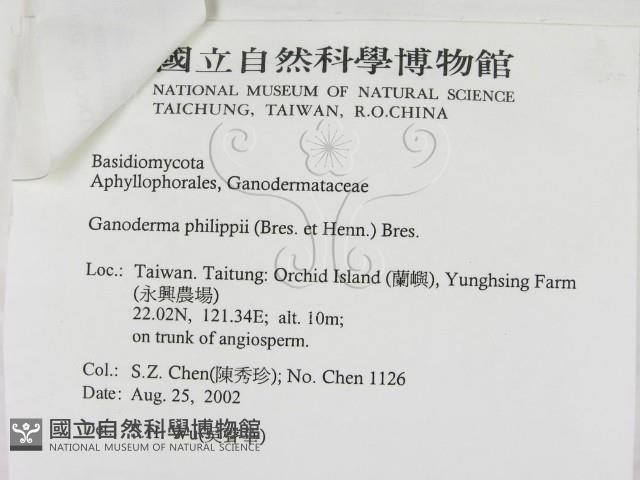 登錄號:F0014768藏品圖，第3張