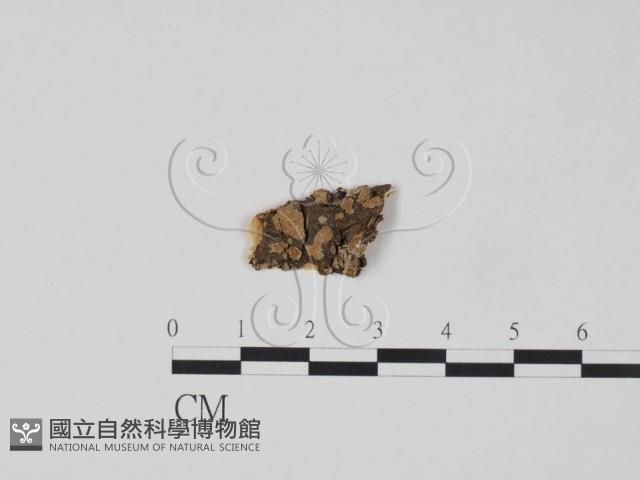 登錄號:F0017768藏品圖，第1張