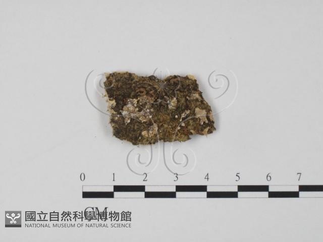 登錄號:F0009768藏品圖，第1張