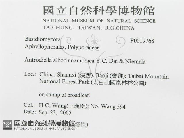 登錄號:F0019768藏品圖，第3張