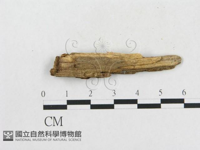 登錄號:F0006568藏品圖，第1張