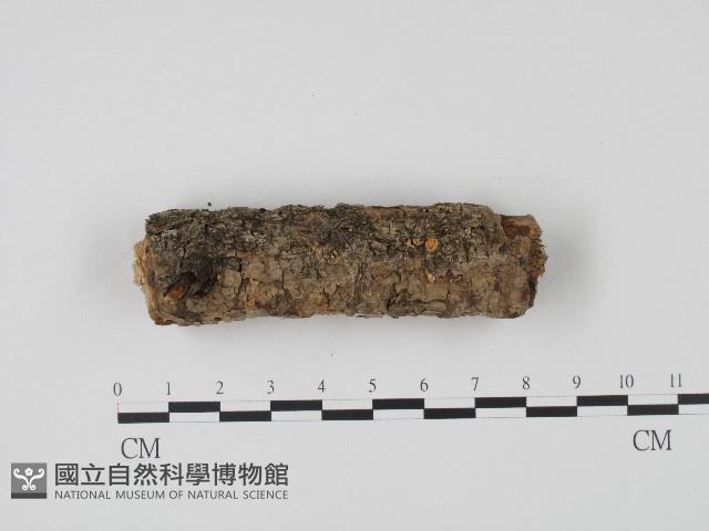 登錄號:F0004568藏品圖，第1張