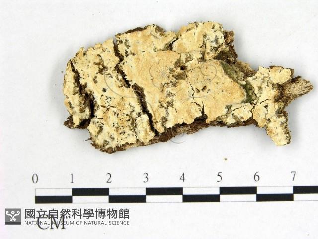 登錄號:F0022568藏品圖，第1張